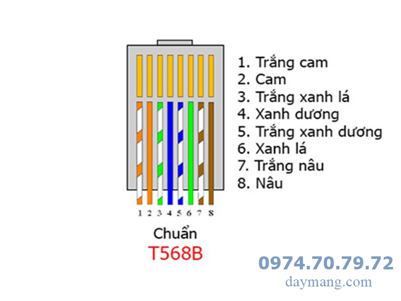 bam-day-mang-chuan-b.jpg