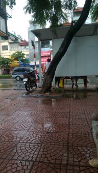 doan tuan linh