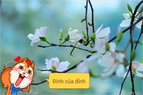 Ketktxd1102