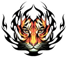TigerNo.1