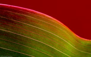 anhthinh92