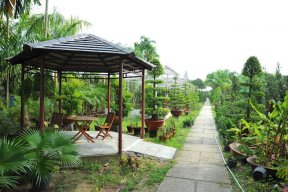 ngoclong068