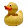 the_duck