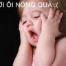 thewallxd
