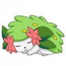 shaymin92