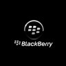 blackberry_noob