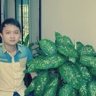 Đoàn Viết Cường