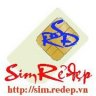 simredep.vn