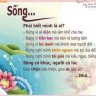 Trần Nhân Nghĩa
