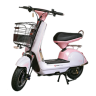 Xe điện TenBike