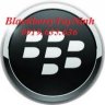 blackberrytayninh