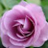 user3702129