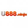 user6535663