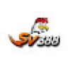 user6552482