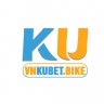 vnkubebike