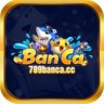 user6583422