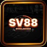 SV88 rocks