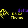 user6688514