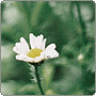 thienthanh6789