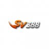 user6710676