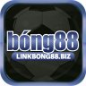 bong88bizz1