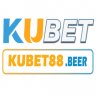 user6781384