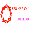 user6820022