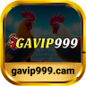 gavip999shoes