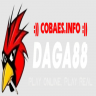 user6900564