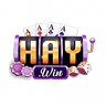 user6941330