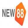 user6943166
