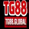 user6944164