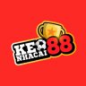 user6959462