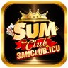 sumclubsingless
